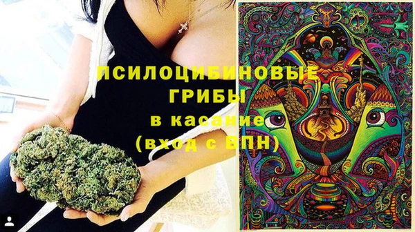 кокс Тайга