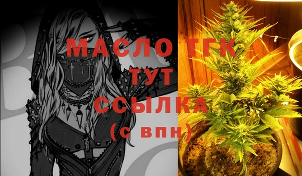 бошки Ельня