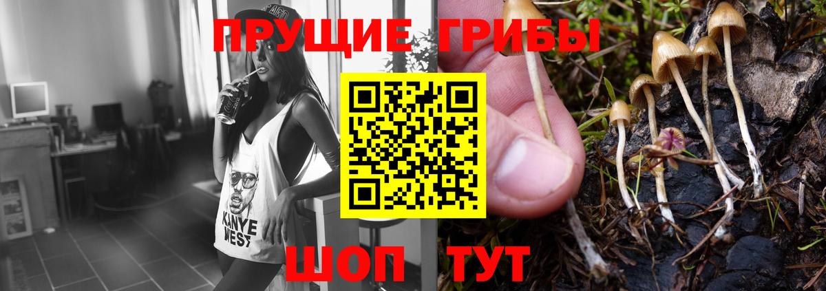 Псилоцибиновые грибы MAGIC MUSHROOMS Киреевск