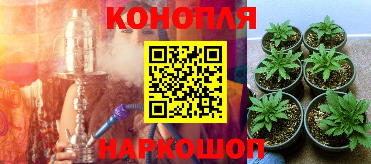 Каннабис OG Kush  Вход с VPN  Киреевск  МАРИХУАНА Amnesia  Канабис VHQ 